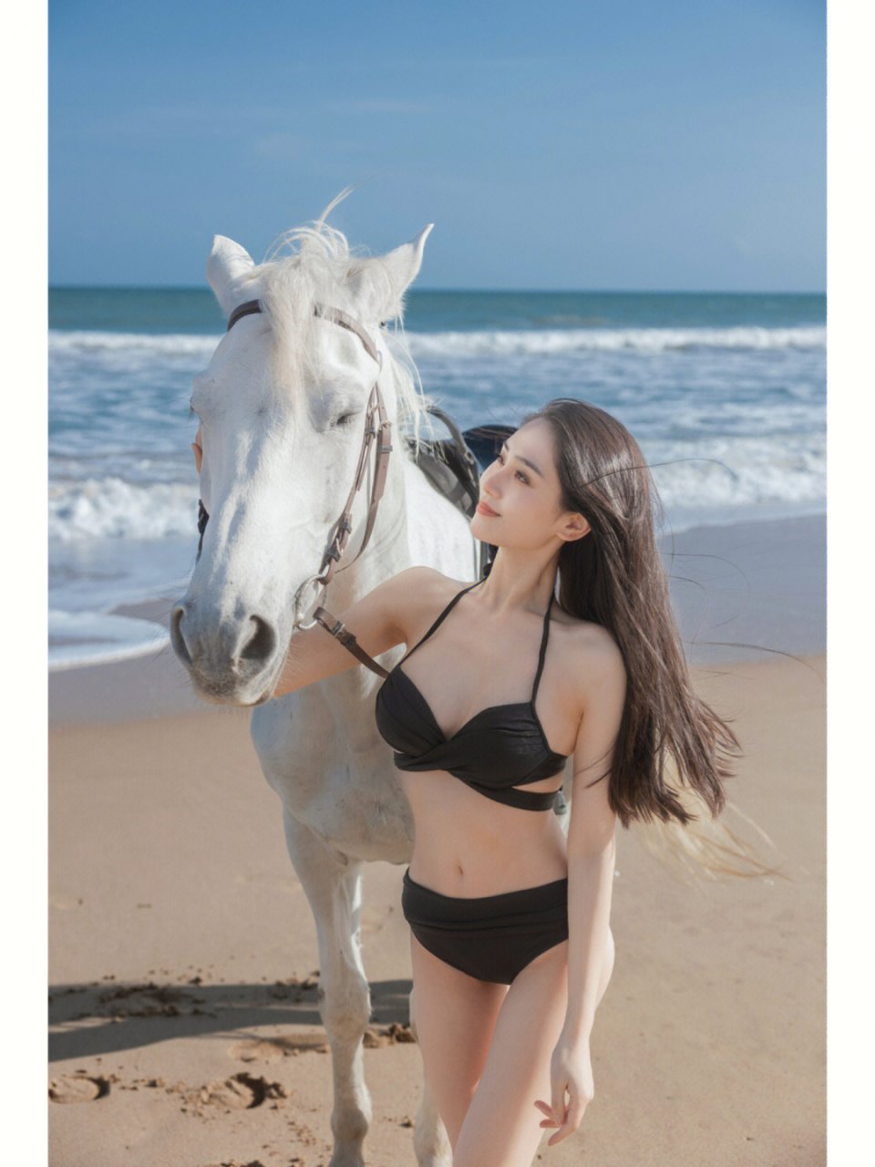 海边,美女,比基尼,白马,好美!