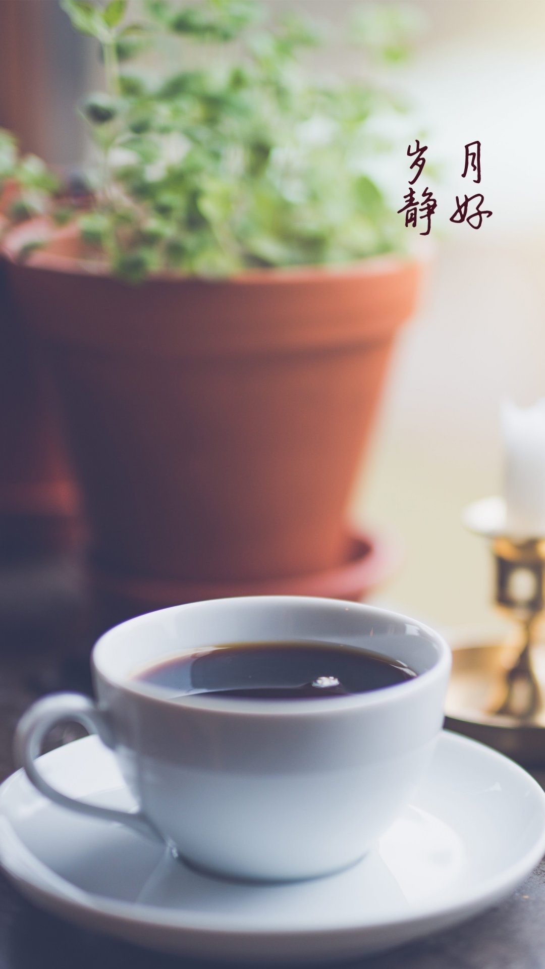 然而,当我静下心来,回望过去,发现岁月静好时,才发现生活中隐藏的美好