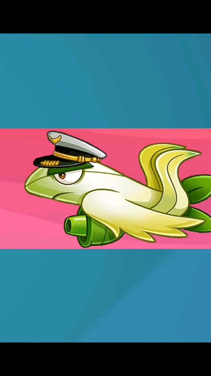 芦笋战机vs白鹭花战机～视频2