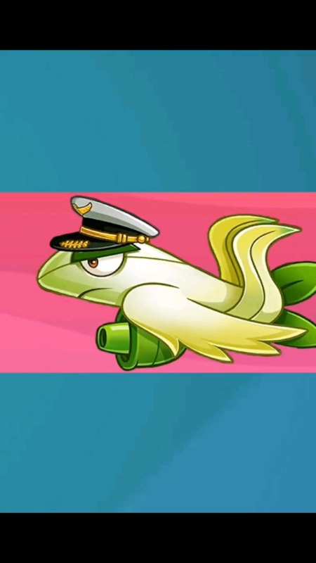 芦笋战机vs白鹭花战机～视频2-度小视