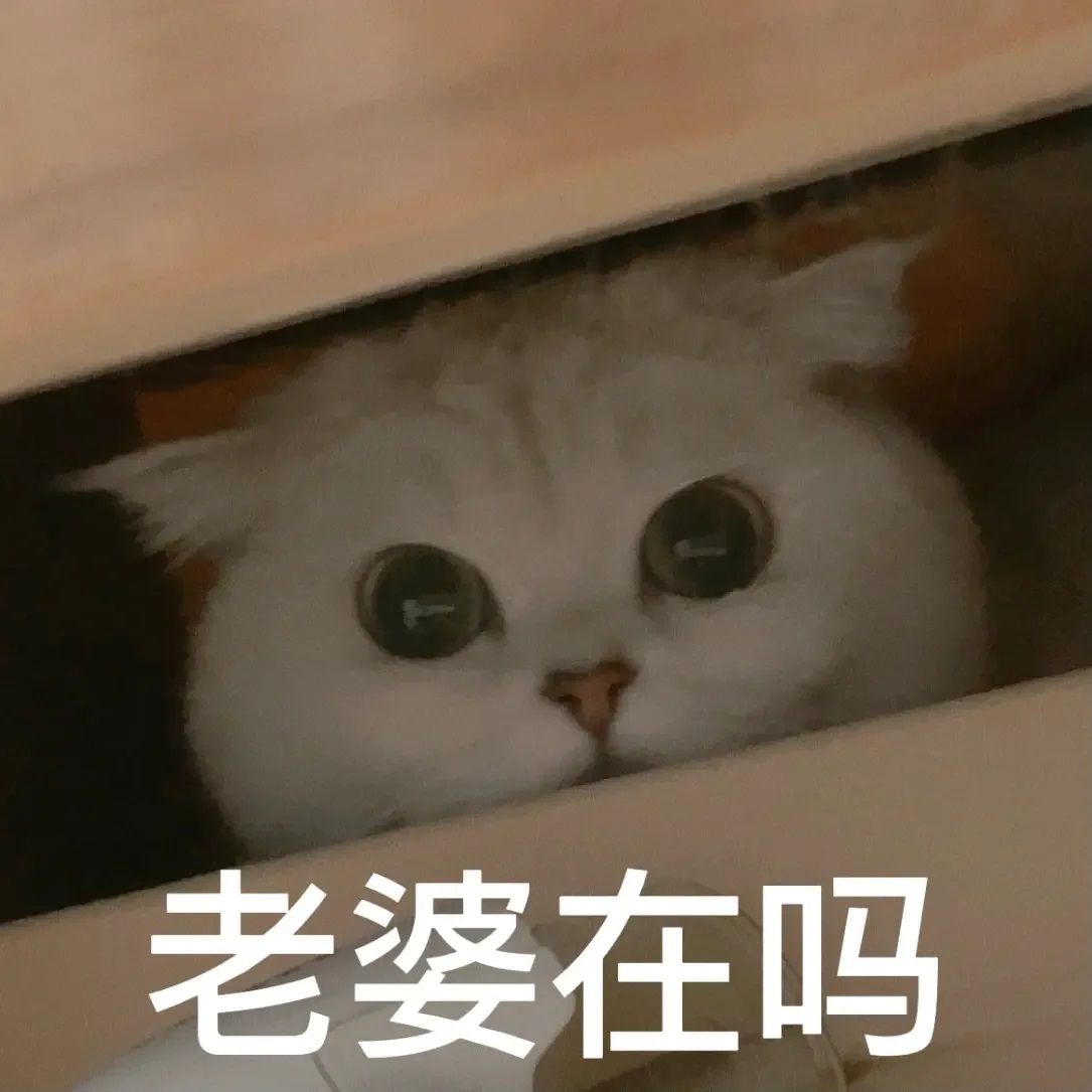 猫猫表情包之哄老婆哄女友,感觉分享给另一半吧 #表情包# #女友