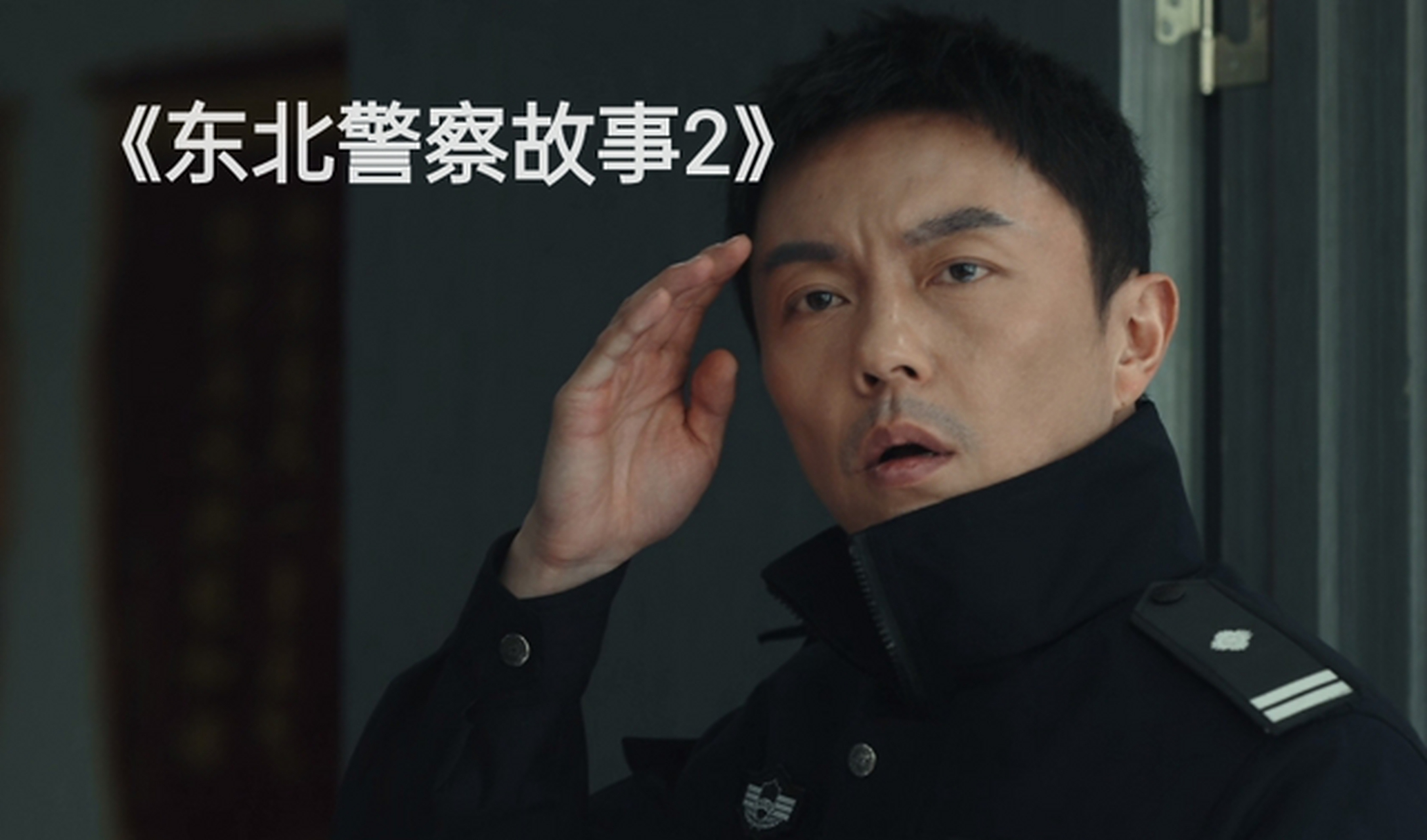 看了《东北警察故事2》,好看!