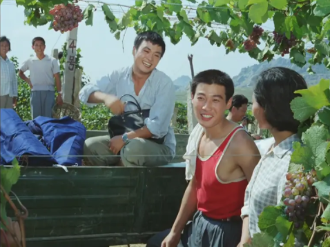 岳云鹏个人简介岳云鹏个人简介-岳云鹏个人简介岳云鹏个人简介资料  第8张