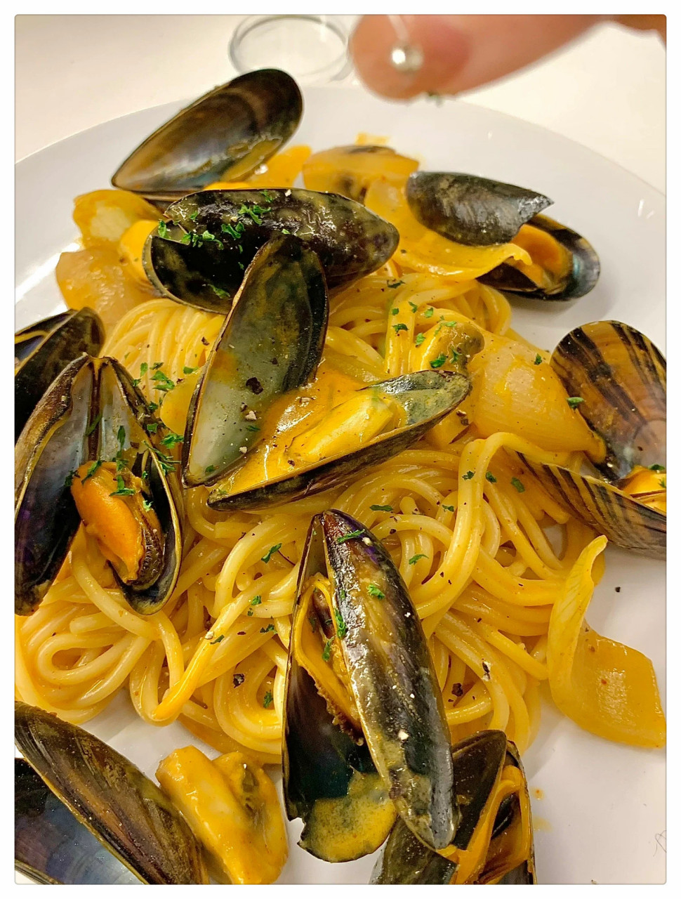 留学生日记|青口贝的正确打开方式get  赶紧去尝尝这款奶油青口贝吧!