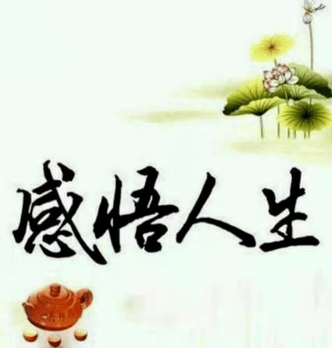 直到最后一盏灯关掉,你已经人生感悟图片带字感悟人生感悟图片带字