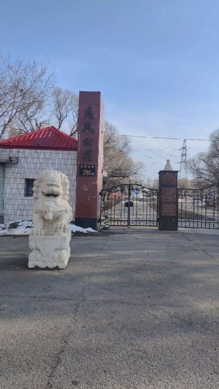 去大庆龙凤公园寻找绿色