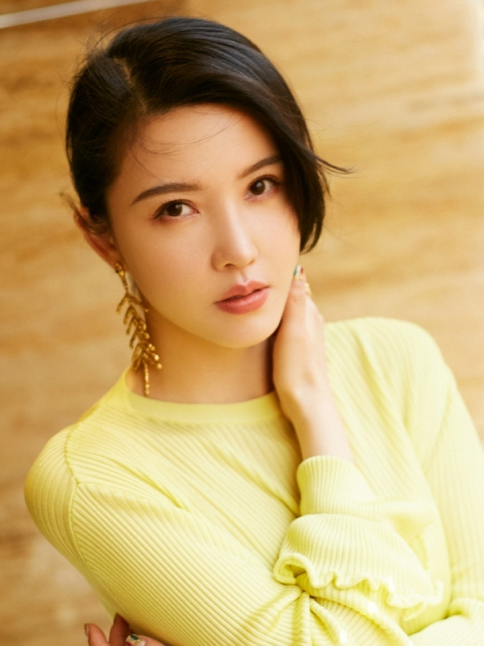 杨子姗是演员也是歌手,演技唱功都特别的出色,长得也很漂亮,容貌靓丽