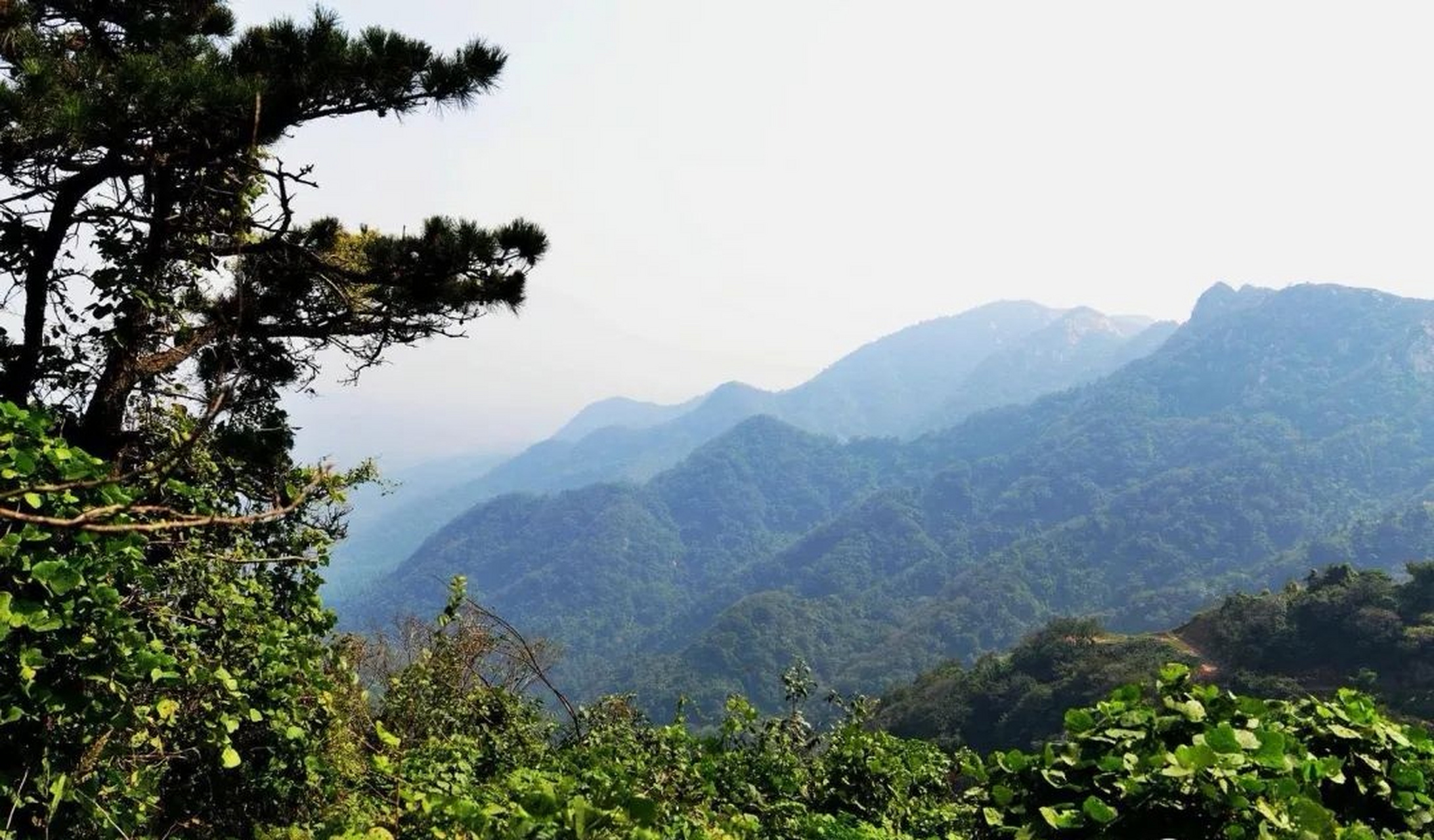 我眼中的方城# 大乘山距河南省方城县城东南15公里,属桐柏山脉,主峰