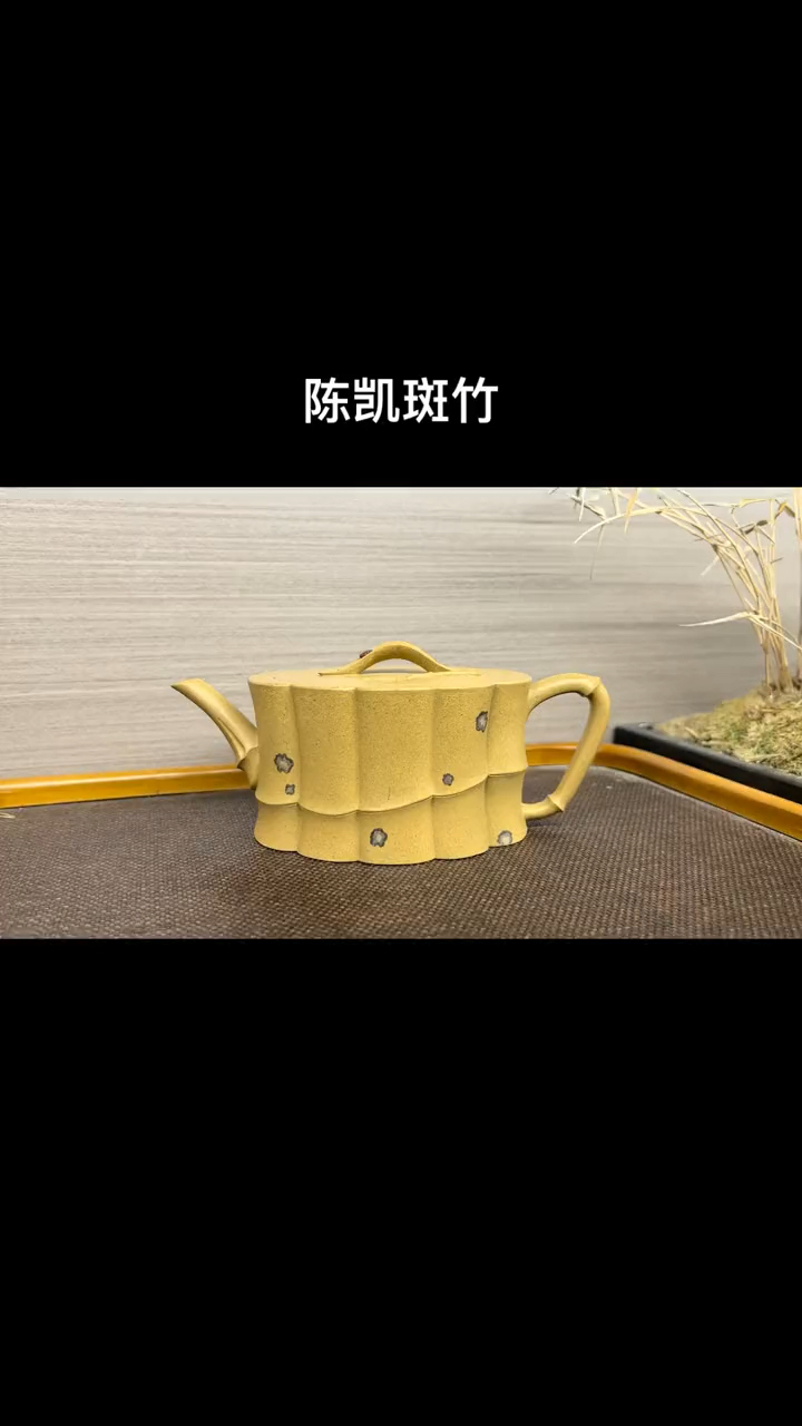 竹器高手陈凯制斑竹紫砂壶