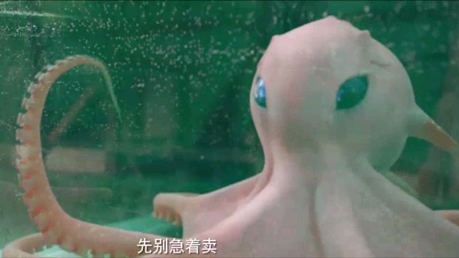 开始觉得小章鱼挺可爱,当它母亲来寻它时灾难才刚刚开始