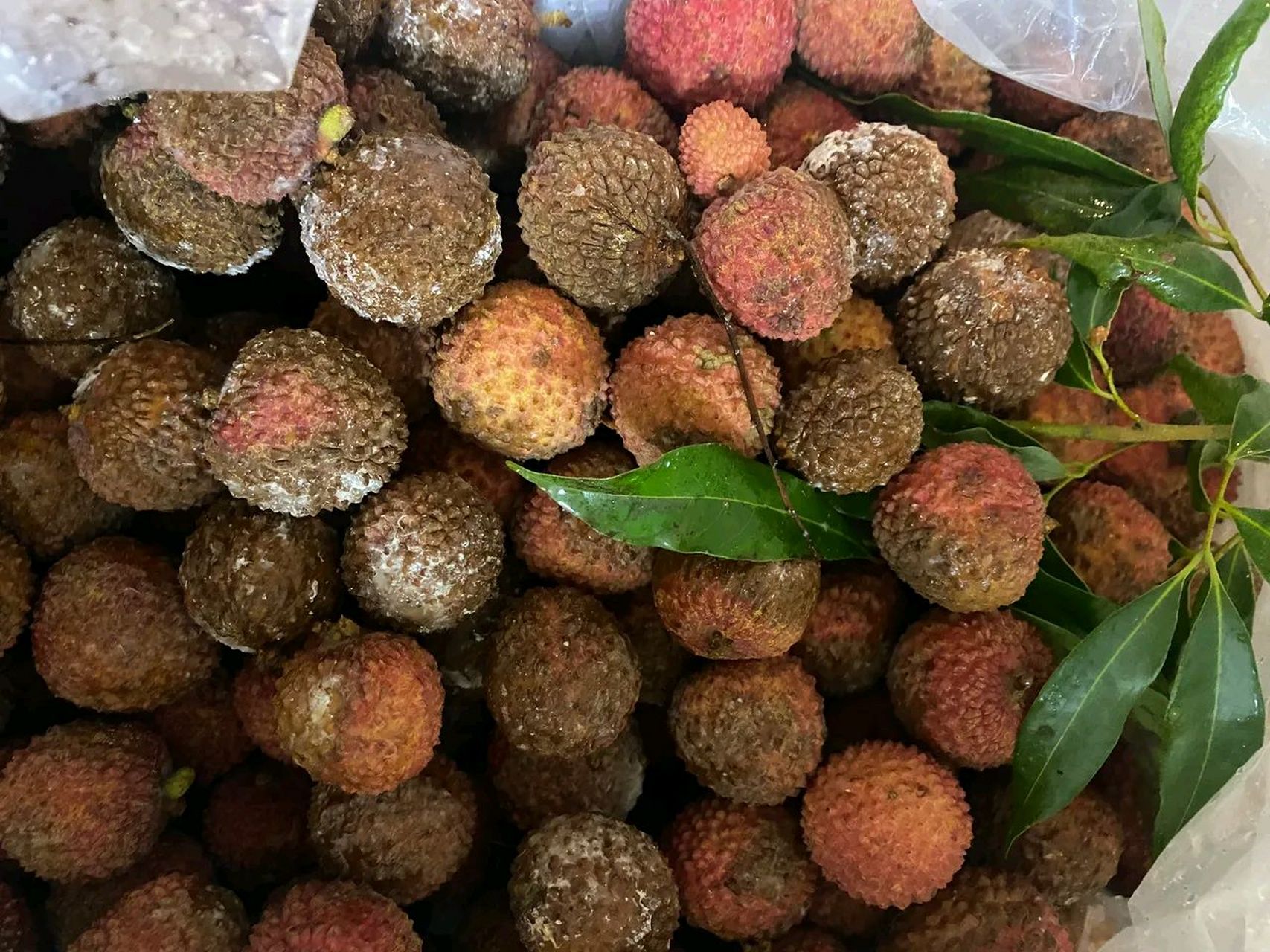 其实今年吃了很多荔枝,也怕上火,委婉的说不用了.