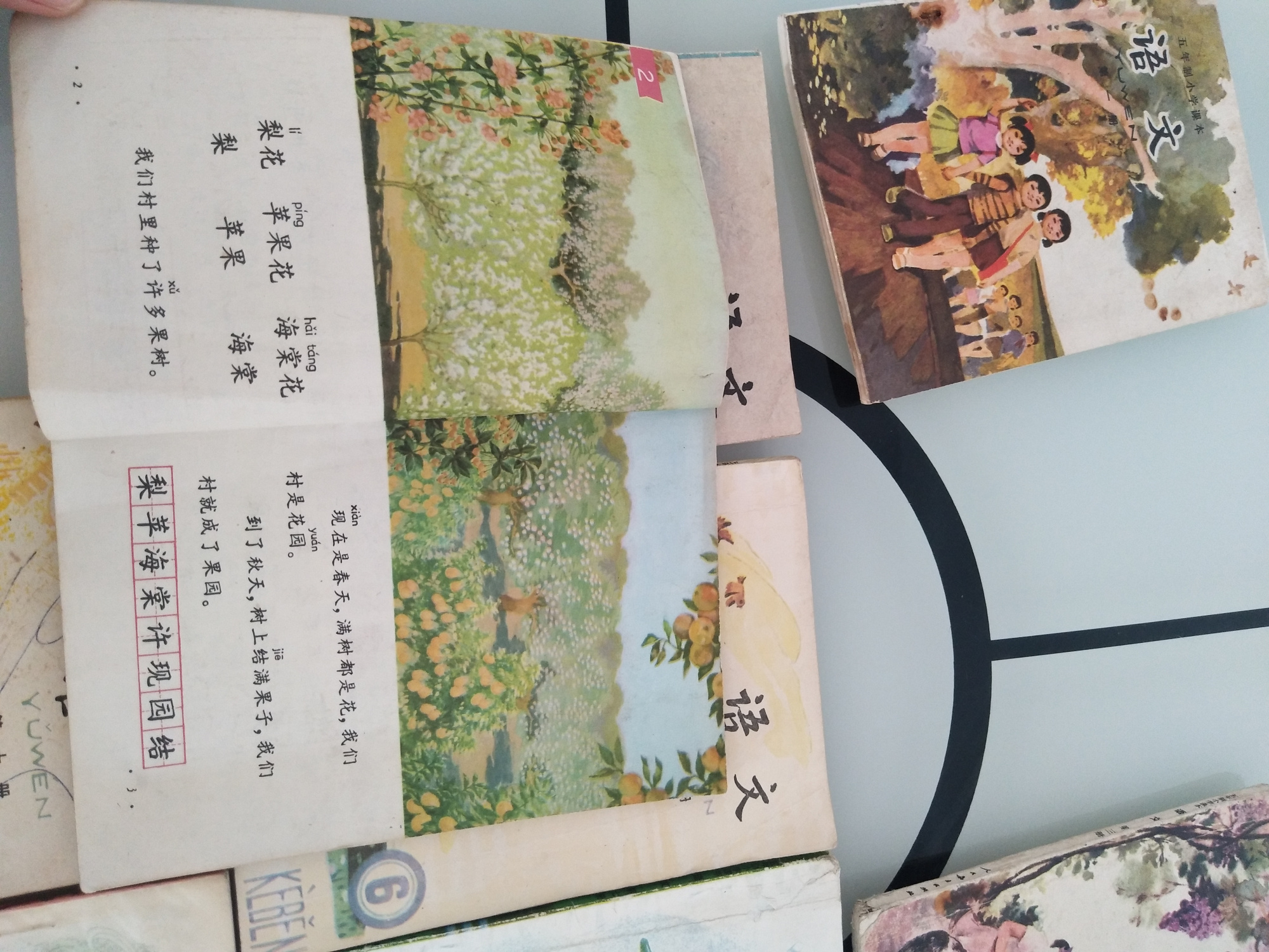 70后小学五年制语文课本