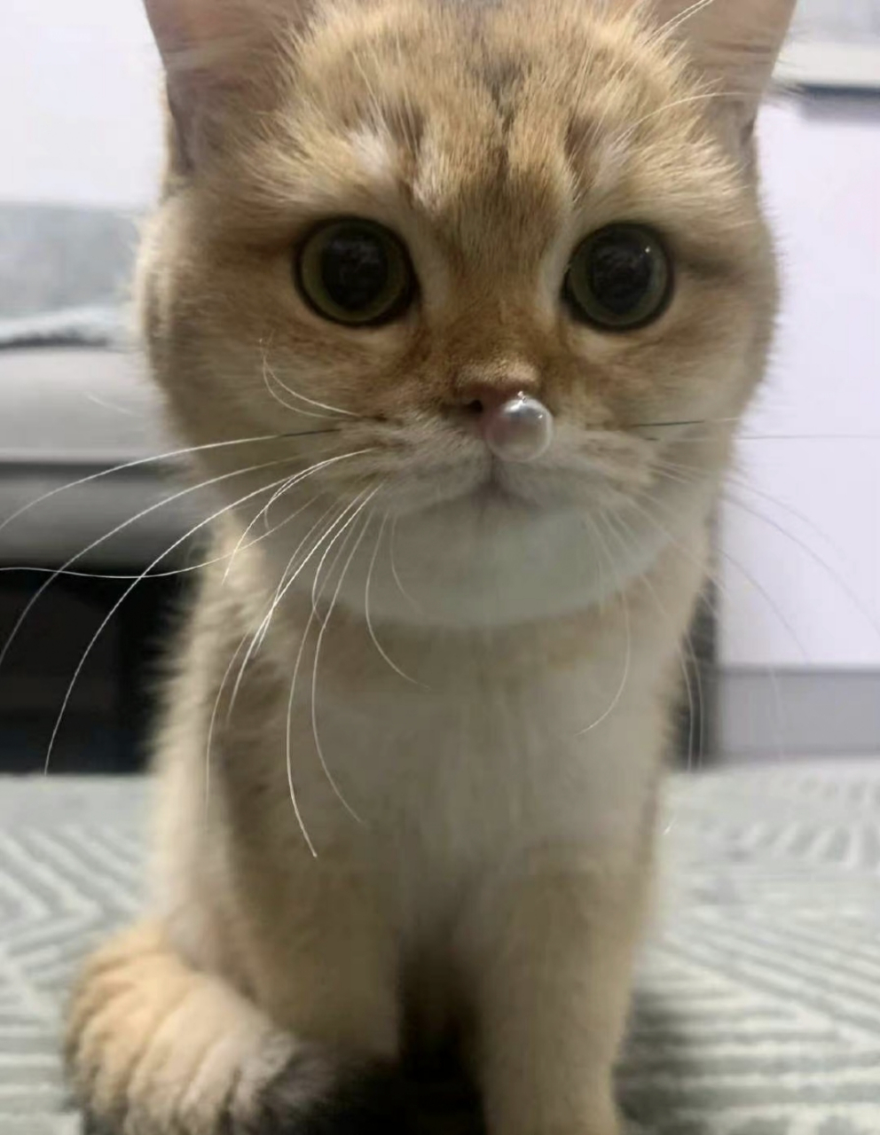 怎么整出这么可爱的鼻涕泡?