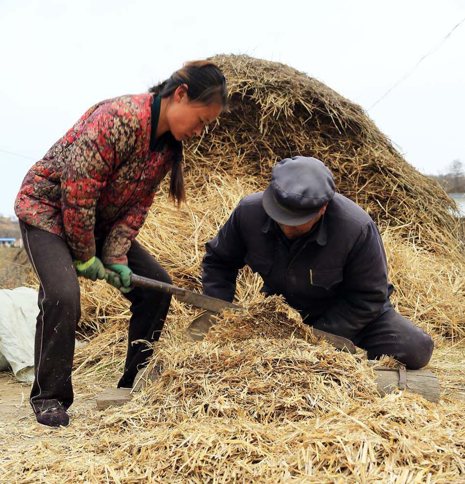 那些年我们曾是割草郎