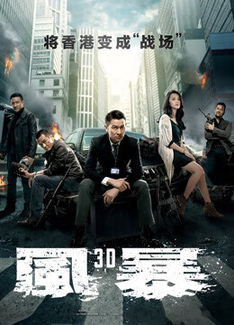 风暴国语版