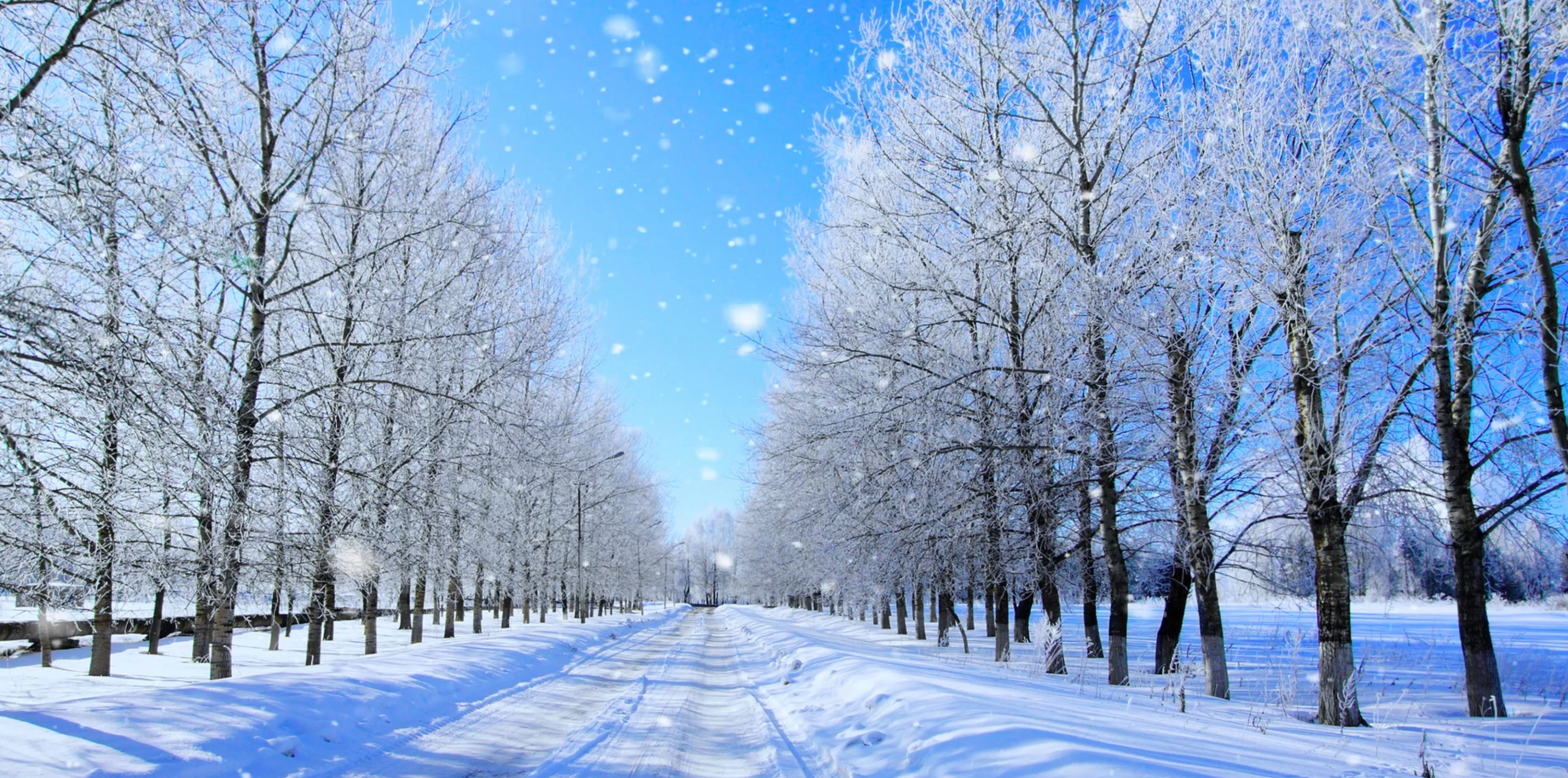 冬日冰雪漫游季# #带你看看我家乡的冬天# #冬日旅行嘉年华#  吉林 