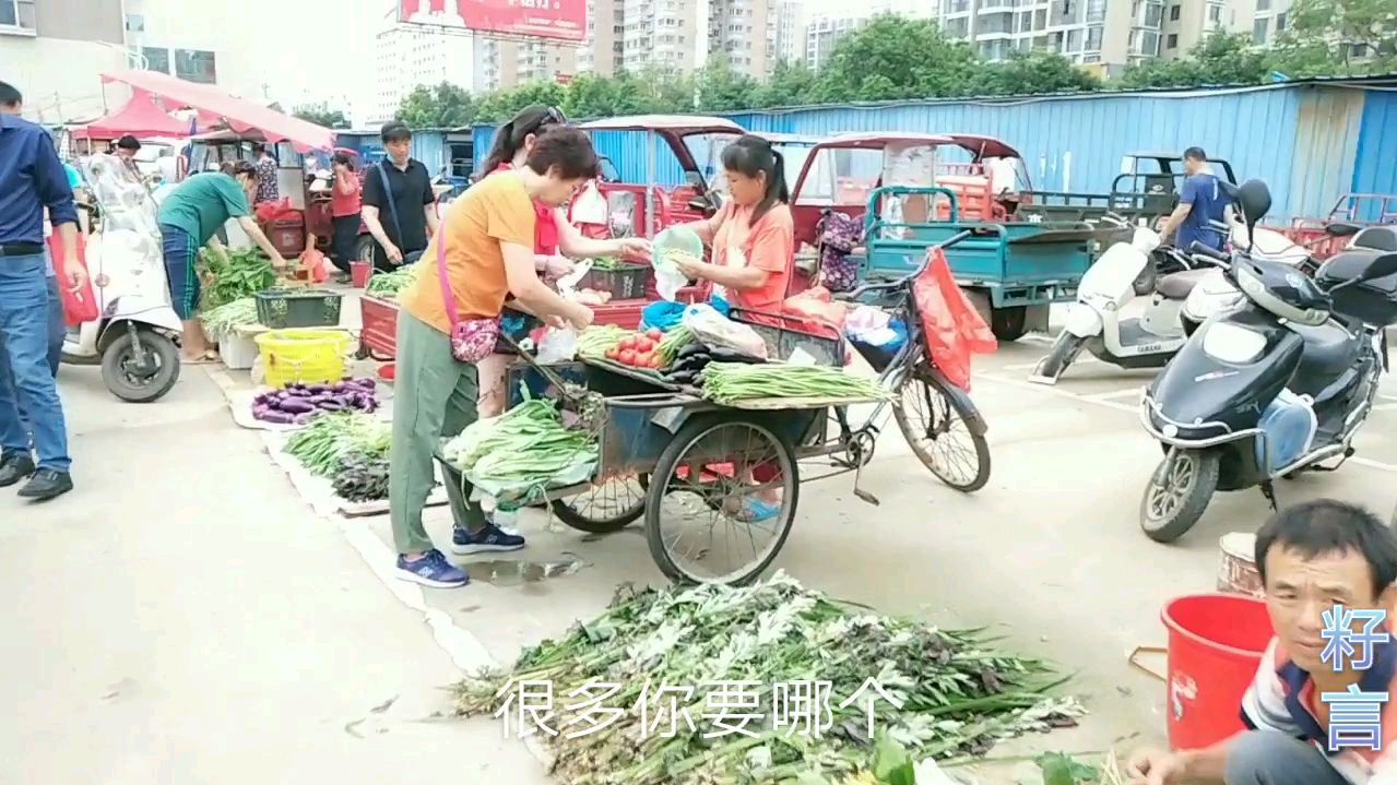 大家为明天端午节到来而做准备,菜市里多了一道艾草和粽子的风景