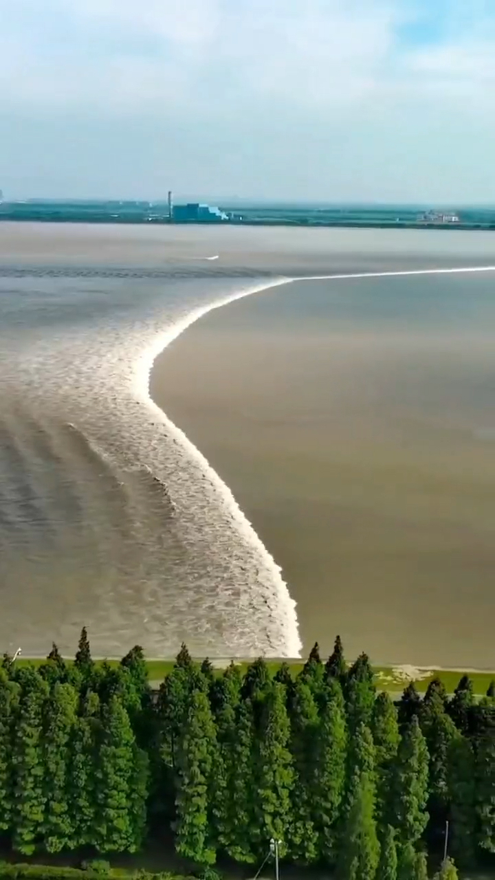 钱塘江大潮不愧为天下奇观,美的如此有型,感叹大自然魅力!-度小视