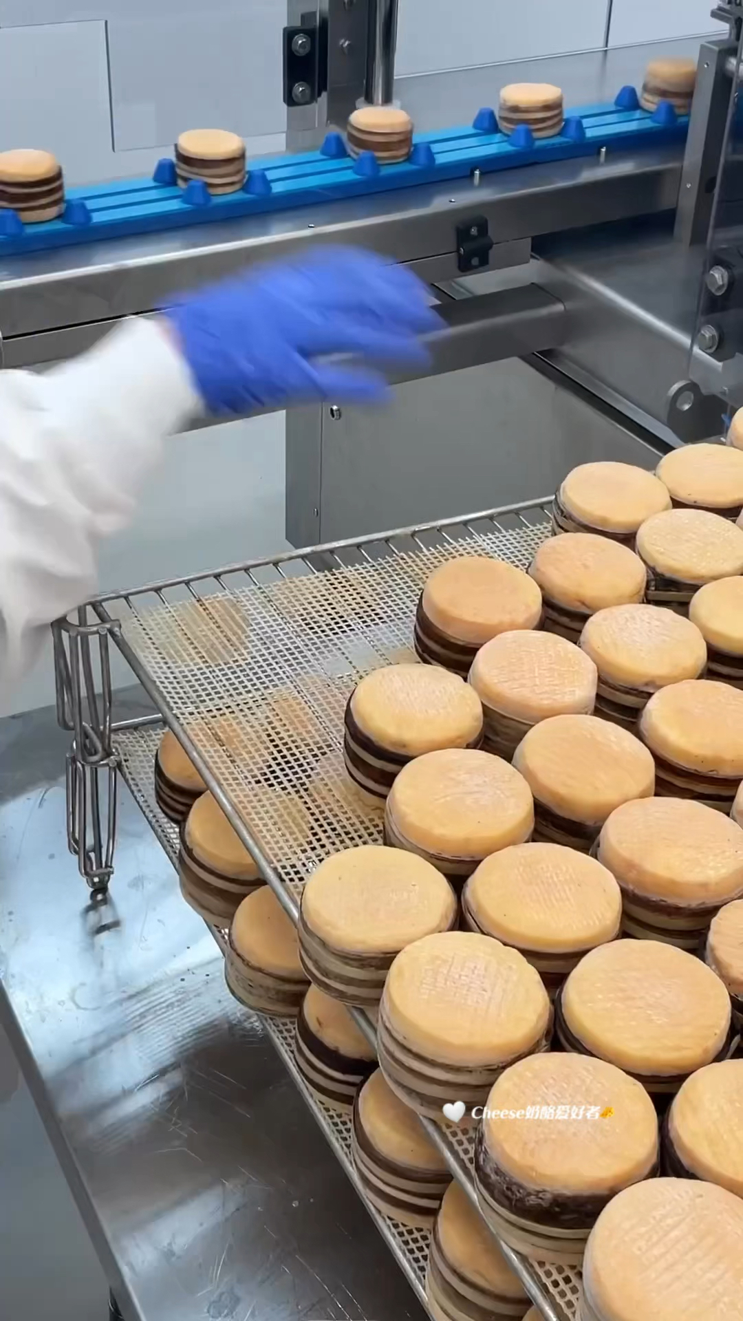 奶酪工厂的生产线