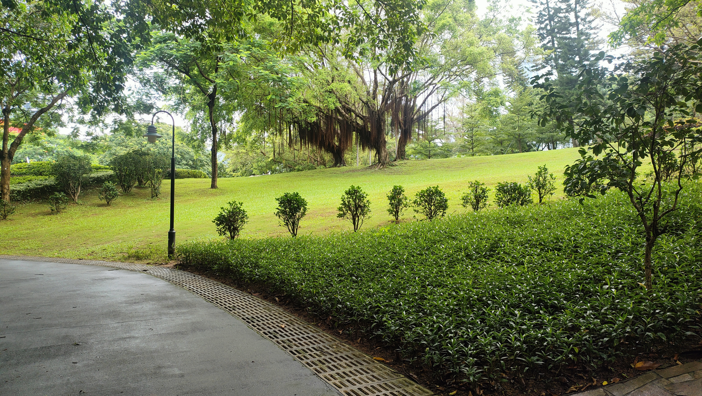 深圳盐田区沙头角海山公园风光