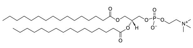 磷脂酰胆碱结构图片