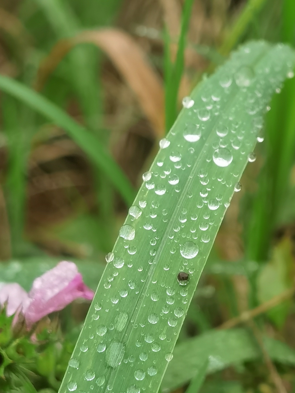 雨后晴天