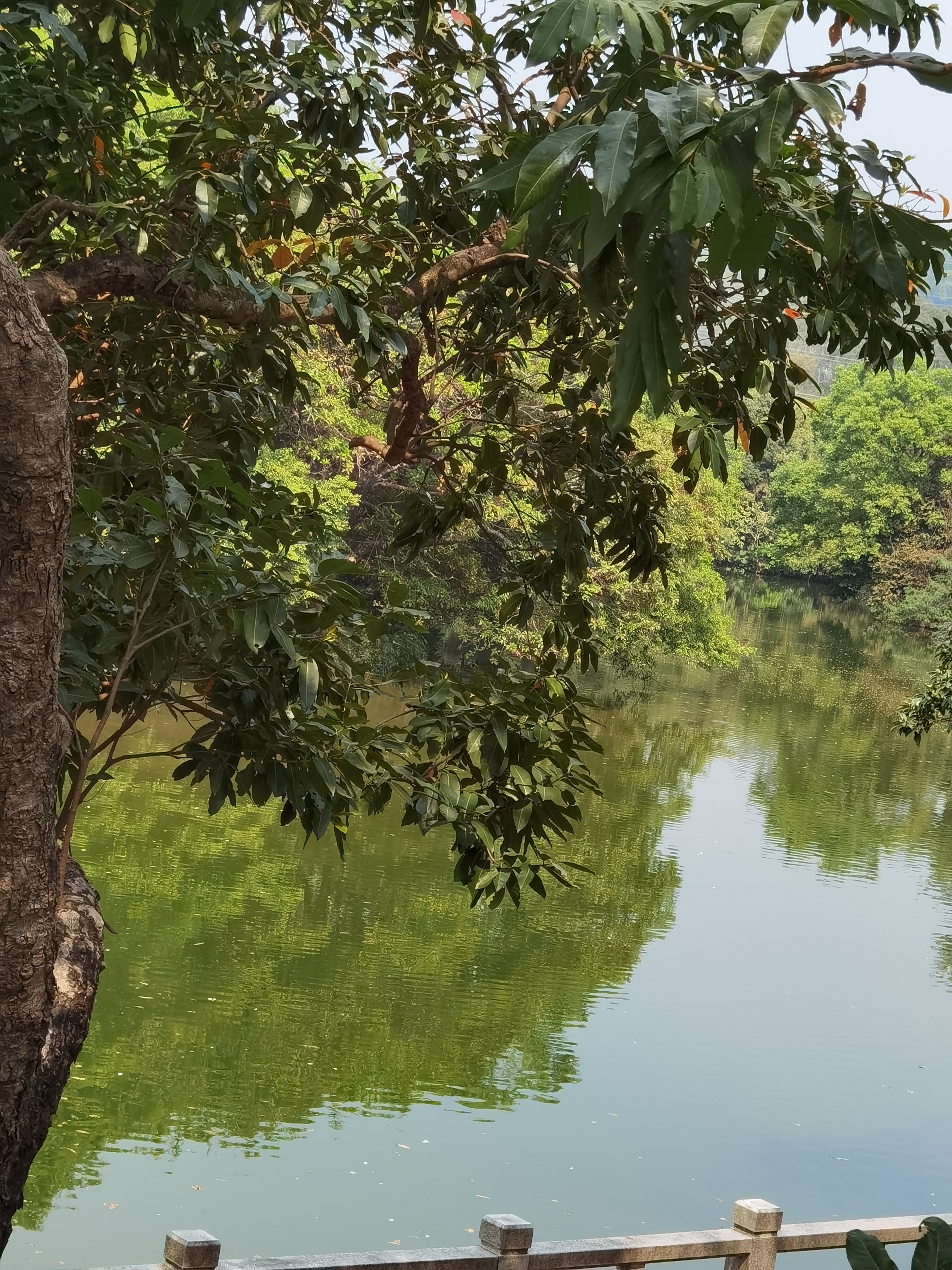 深圳东湖水库公园