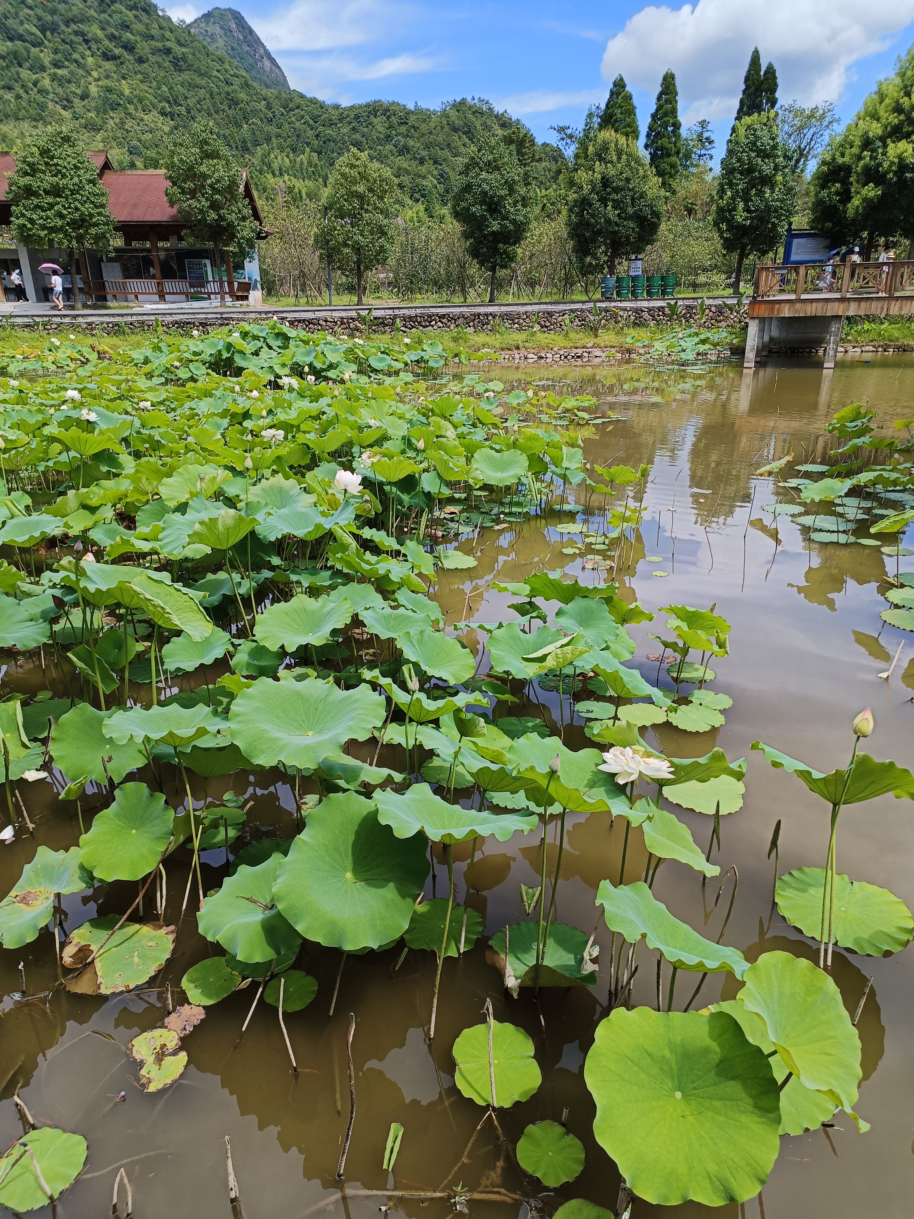 仙水洋景区图片图片