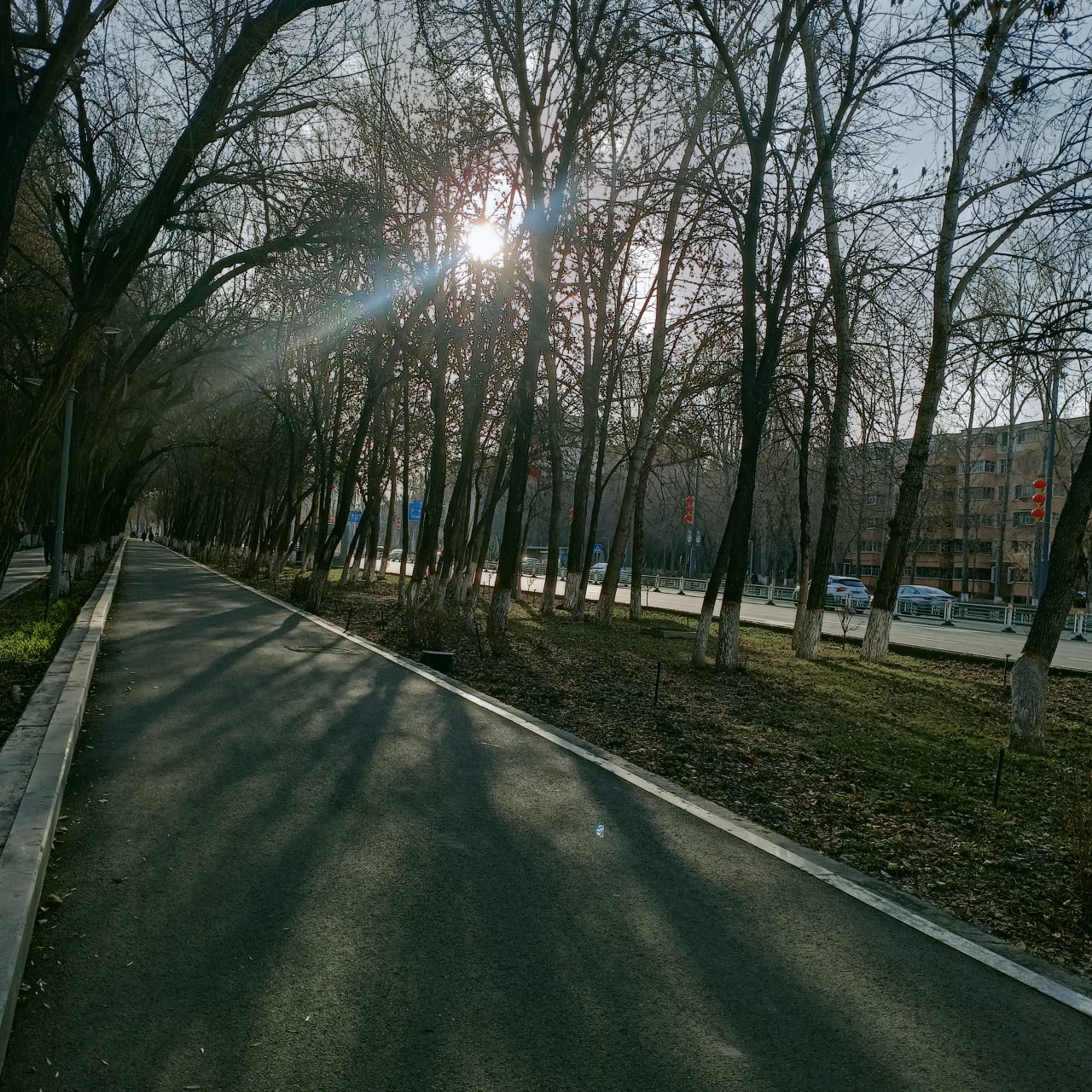 早晨上班路上图片图片