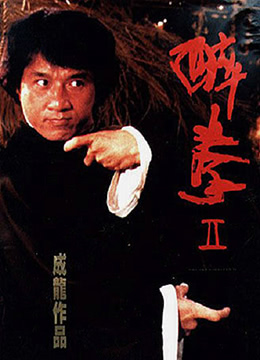 醉拳2