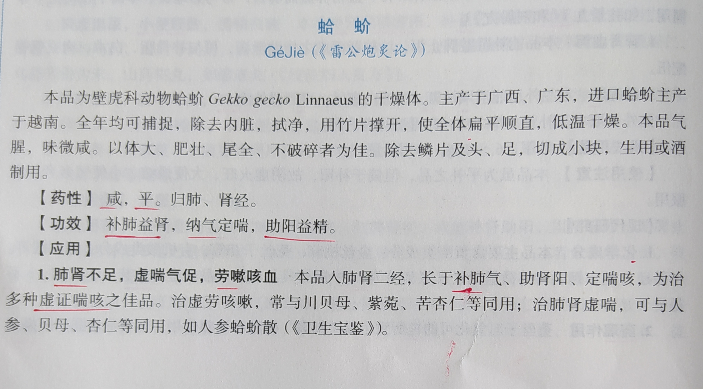 中药"蛤蚧"一一具有补肺益肾,纳气定喘,助阳益精之功效