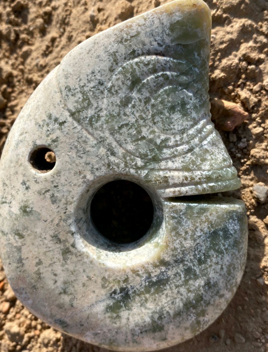 碱皮云雾纹红山玉猪龙