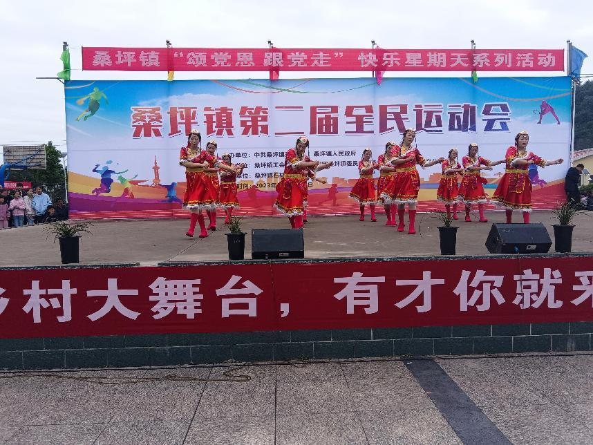 西峡县桑坪镇 用丰富多彩的文化生活带动乡风文明