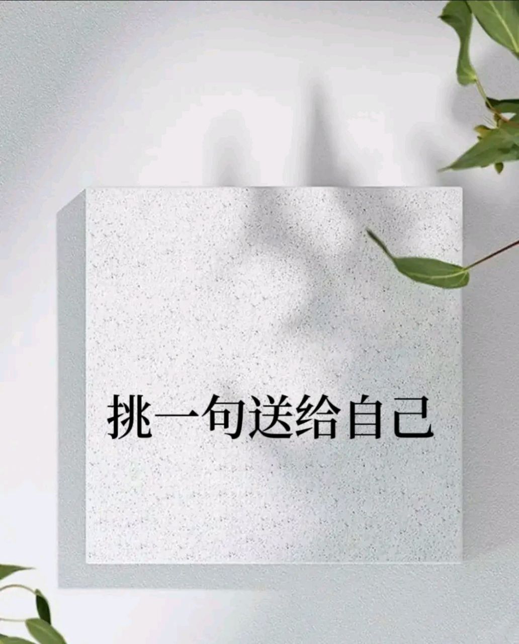 不同的年纪,不同的自己,过好每一个阶段的自己,在成长,在接受,在改变.