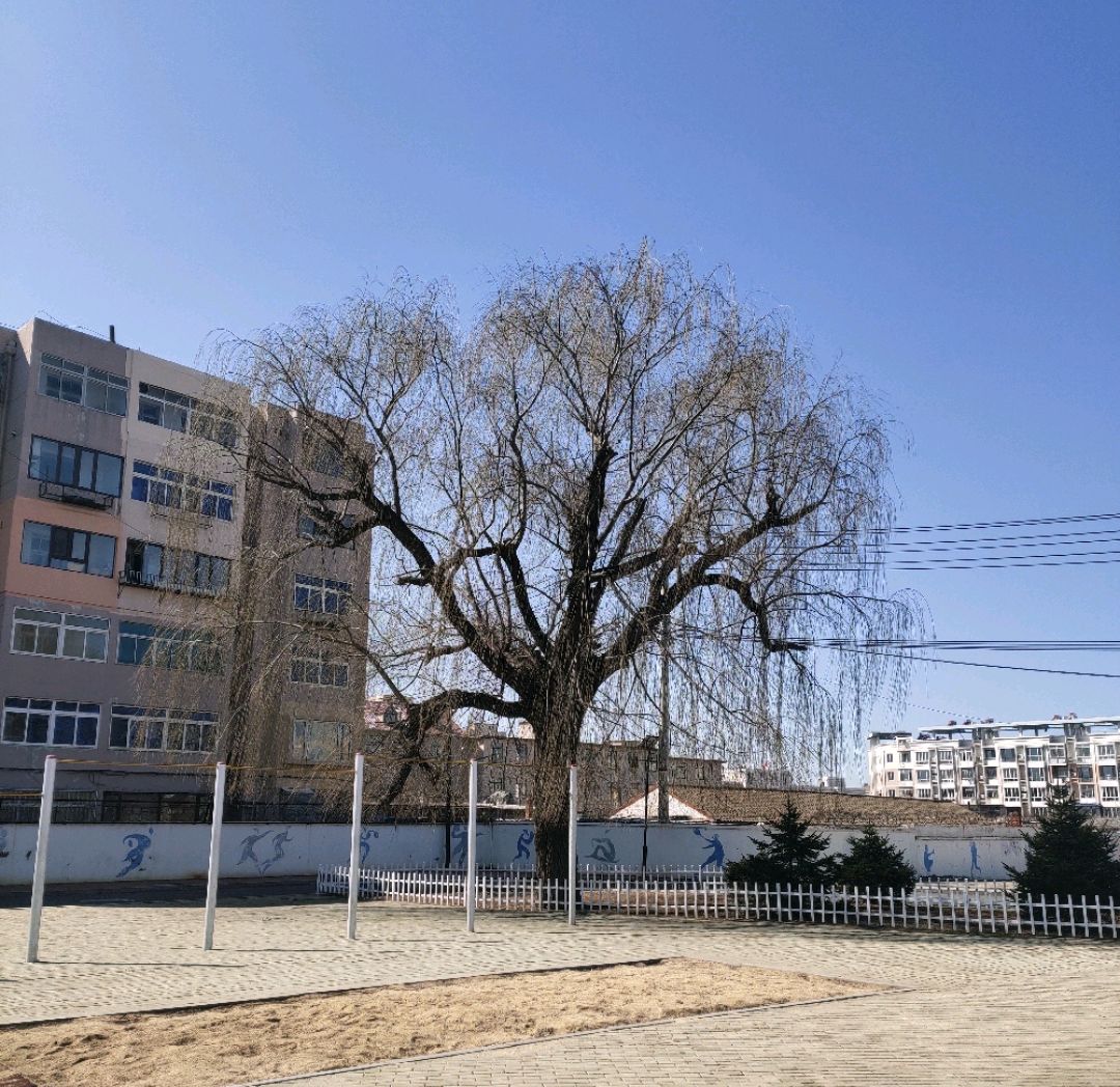 同课异构  精彩纷呈——普兰店区第二中学"同课异构"第二周