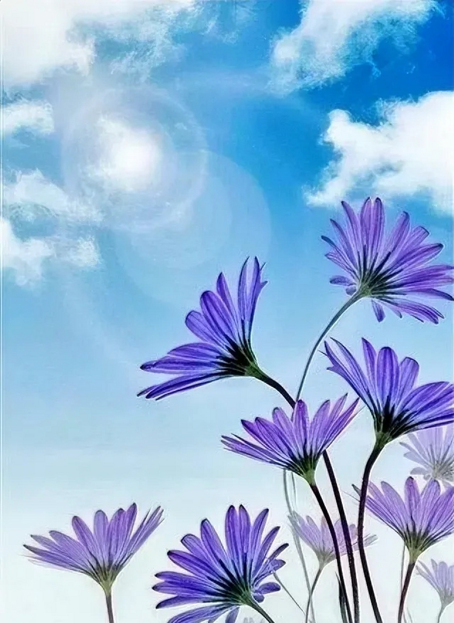 芳心几许入诗章, 鸿雁传书寄远方. 携带风中情一缕, 几行小字醉柔肠