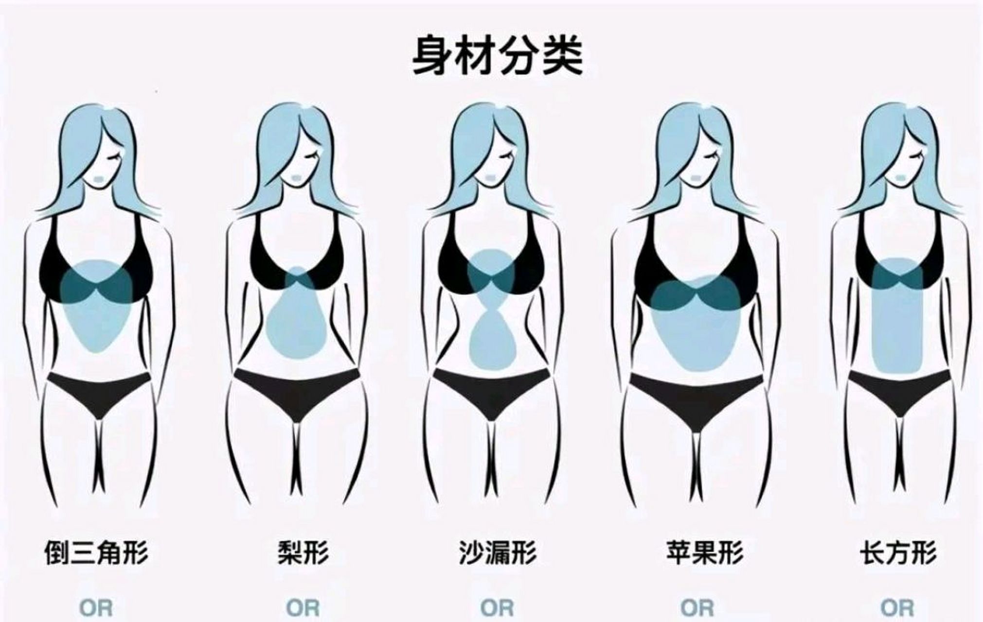 5种女生身材类型,大多数人认为沙漏型身材是最理想的,大家觉得呢!