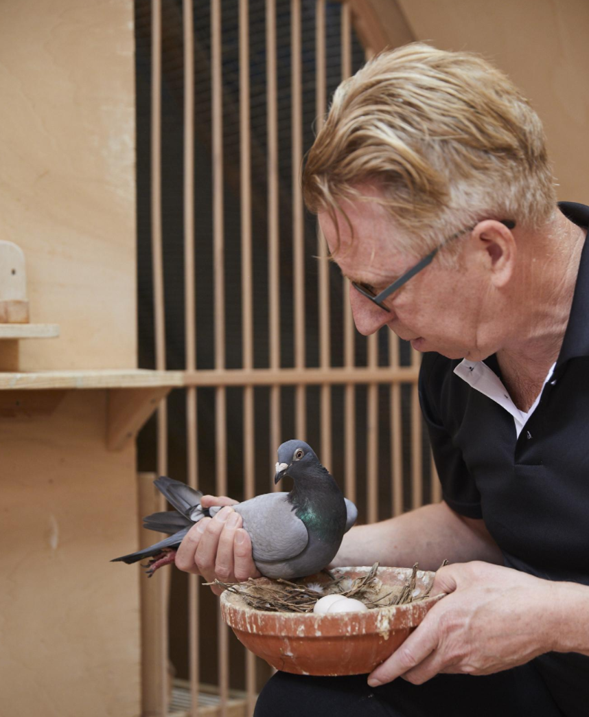 揭秘考夫曼在马拉松和公棚赛的最新武器:"红布伦斯"家族