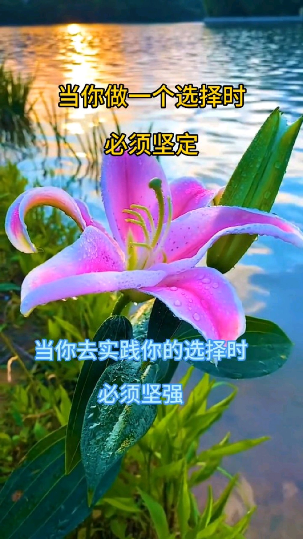 当你做一个选择时,必须坚定.当你去实践你的选择时,必须坚强