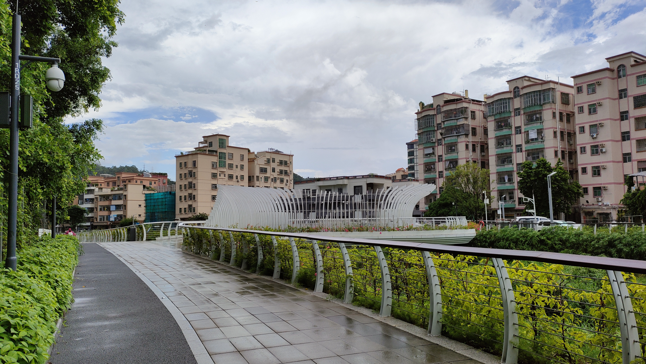 深圳罗湖大望村街拍