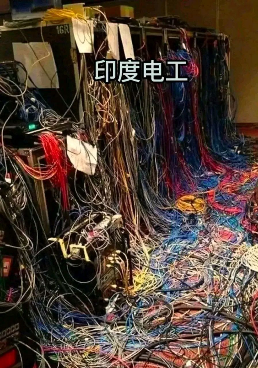 世界上有两个电工是无法超越的,一个是德国,一个是印度