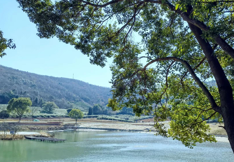 常州龙凤谷景区,坐落于武进雪堰镇凤凰村,山清水秀,值得一游