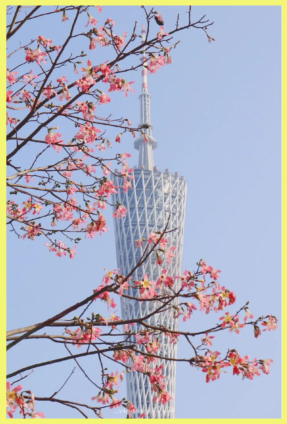 广州的冬天是一个相对温暖的气候阶段,尽管温度可能会下降,但通常不会