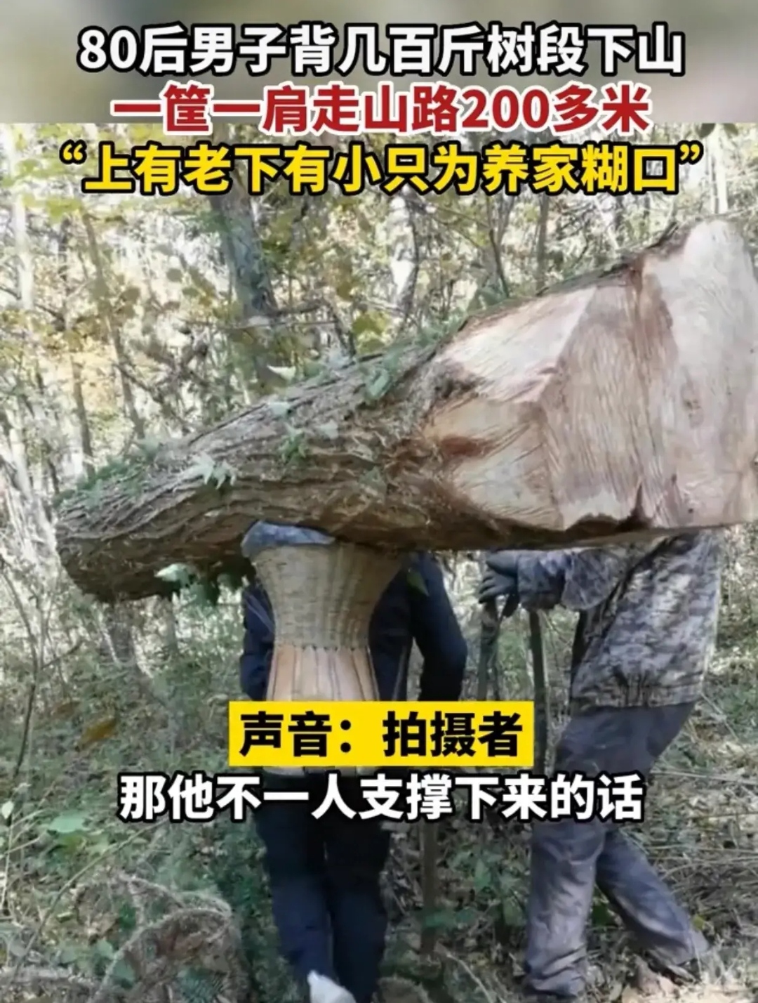 湖北男子背600斤木頭下山賺錢養家餬口我還有什麼理由不努力生活