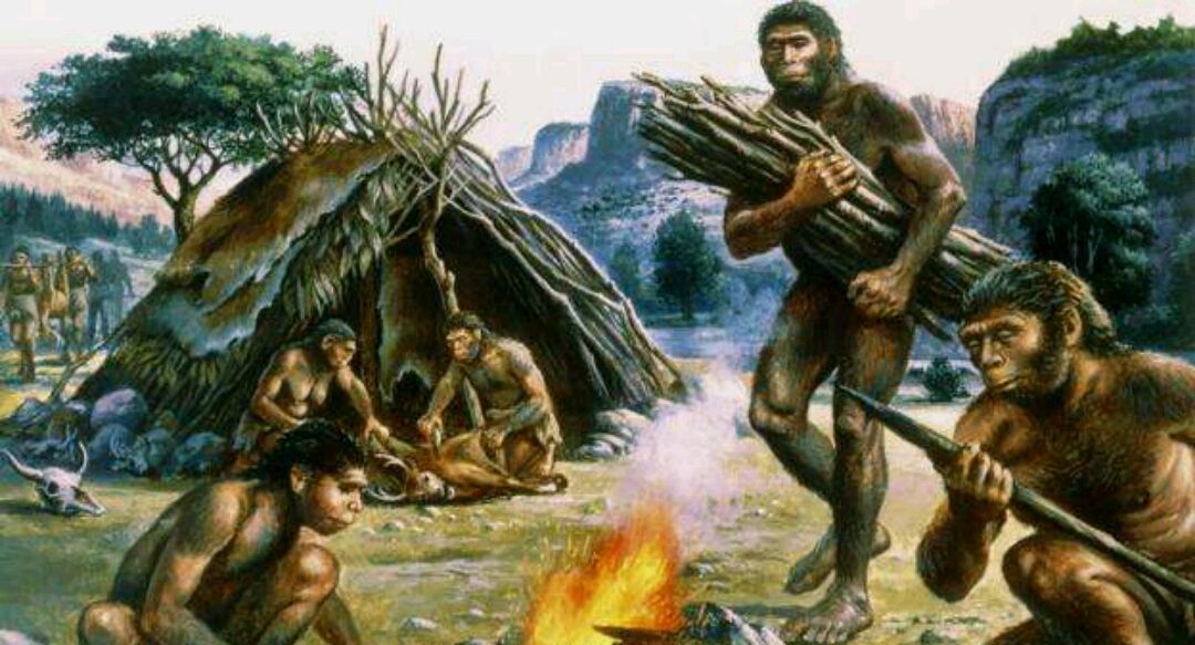 人类从猿人进化的图片图片
