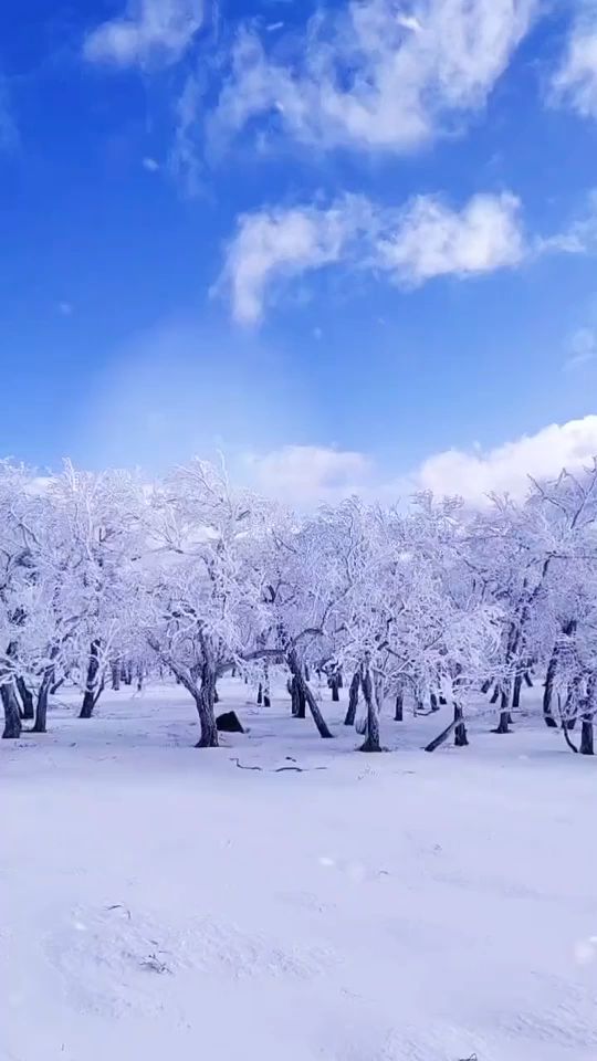 任何事物都无法替换的日子流过,冬天就这样来了