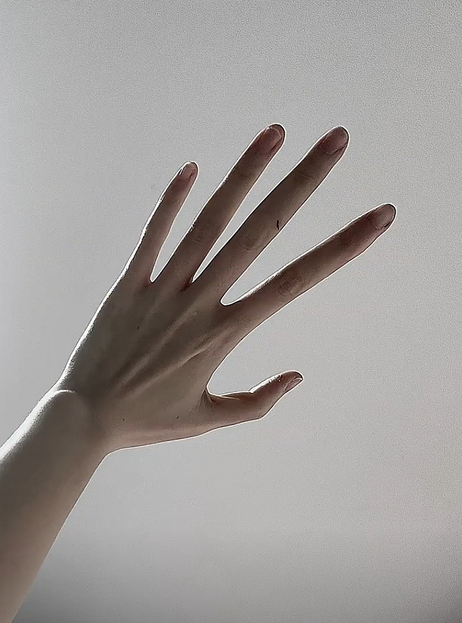 网友:不懂就问,手指头这么长,这样的手是真实存在的吗?