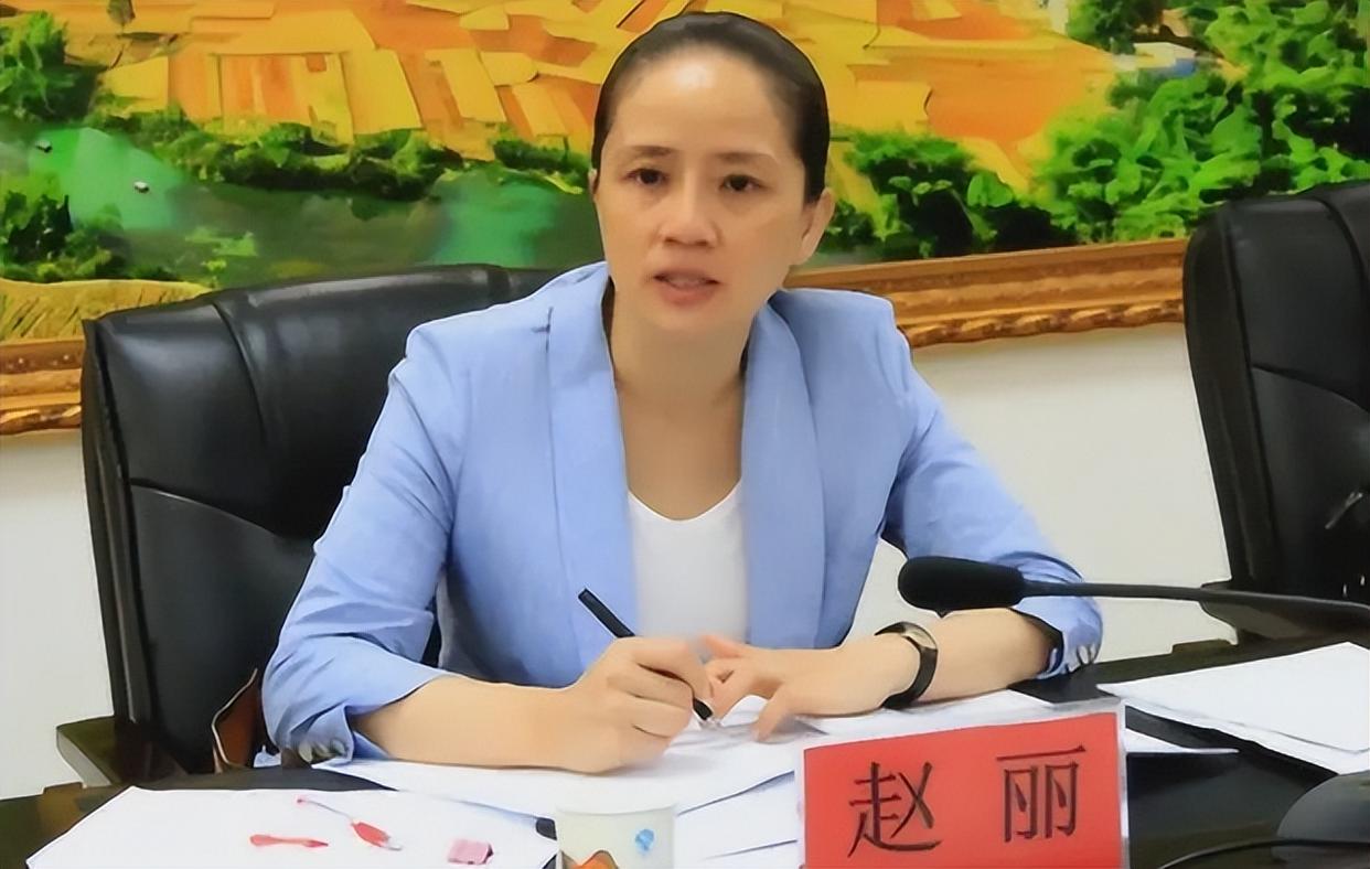 广西"最美女贪官"赵丽:敛财千万,给司机百万封口费,被判16年