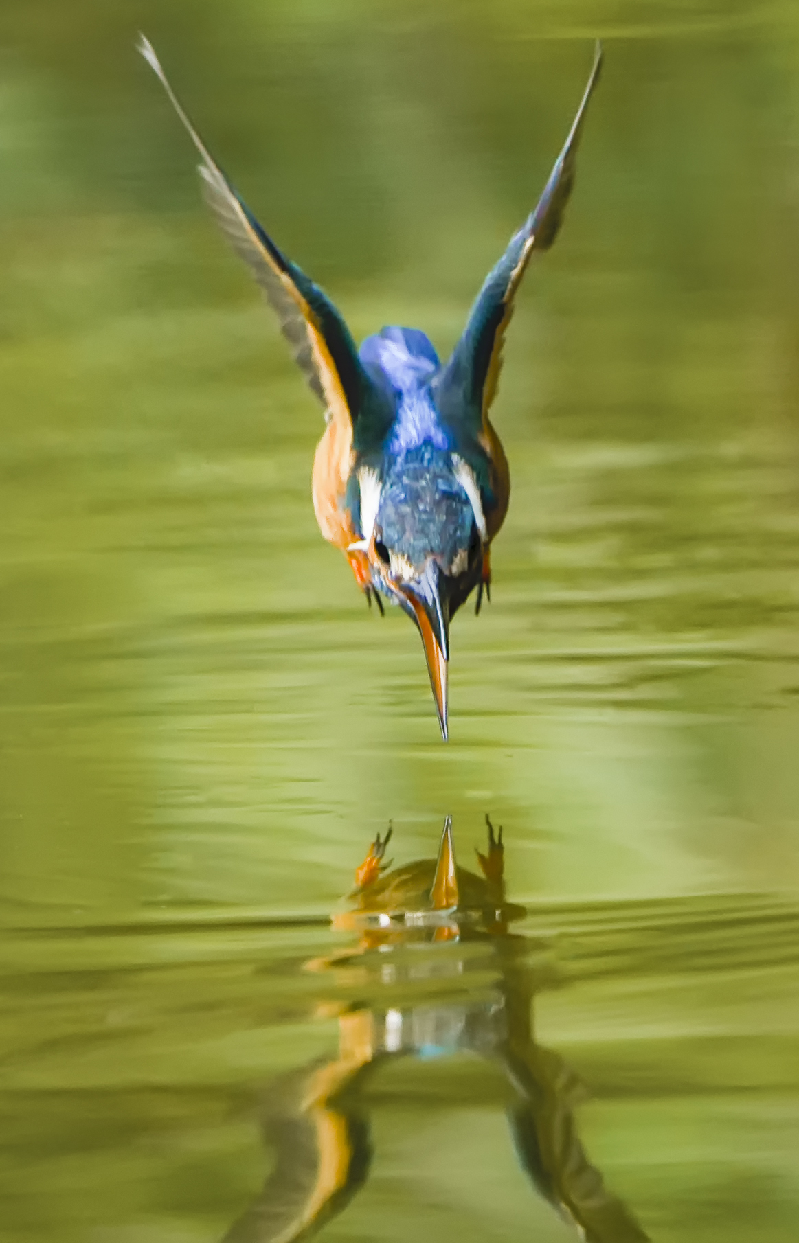 最完美的小翠入水照