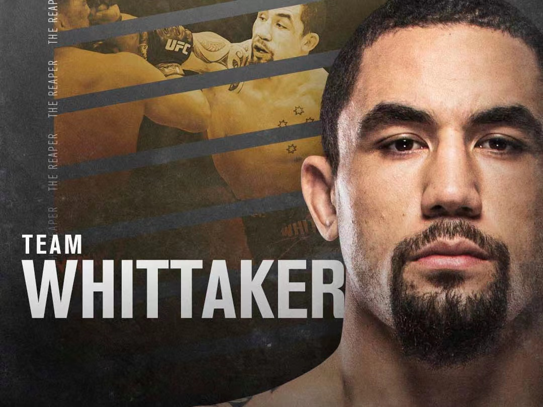 ufc直播 阿迪萨亚vs惠特克,免费官方直播